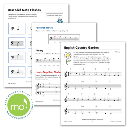 Big Adventures Small Harp, Introductory by Anne Crosby Gaudet 