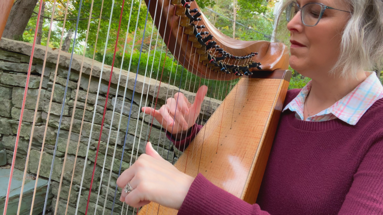 Load video: Can You Feel the Love Tonight, harp