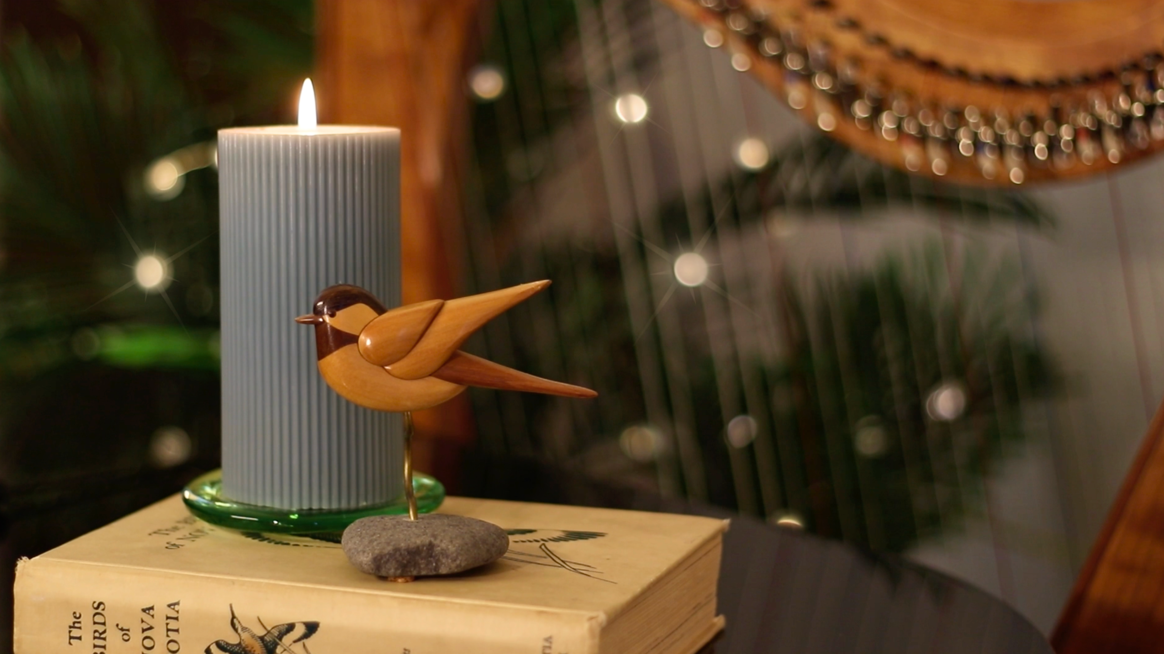 Load video: For the Birds, harp meditation