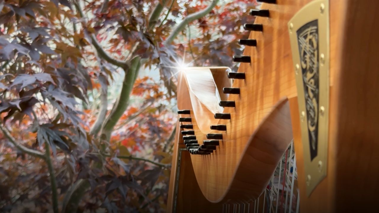 Load video: SET THE ECHOES RINGING, harp